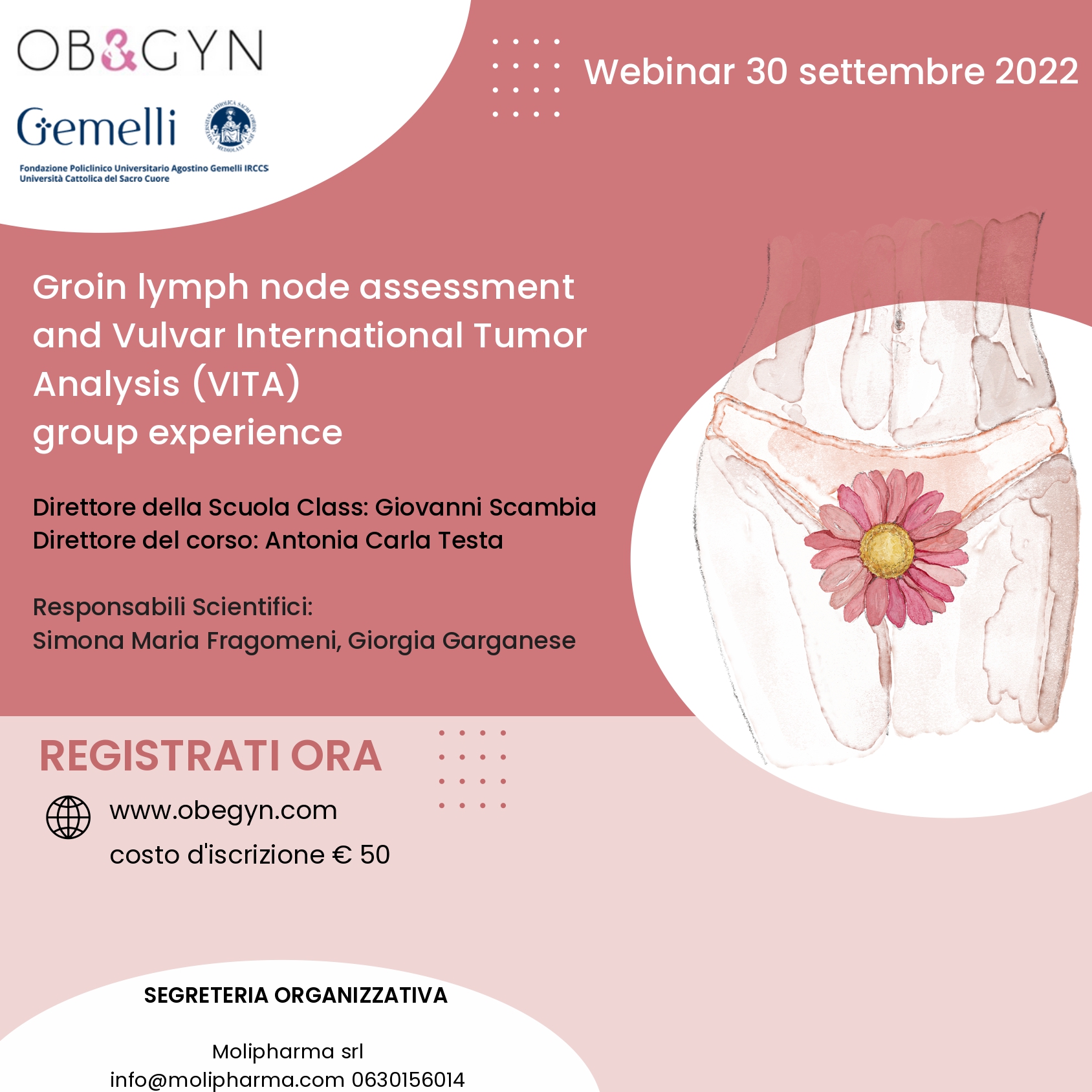 Programma Groin lymph node assessment and Vulvar International Tumor Analysis (VITA) group experience - webinar 30/09/2022