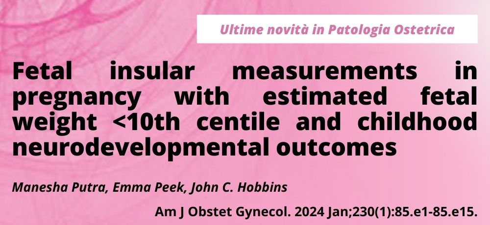Fetal insular measurements in pregnancy with estimated fetal weight <10th centile and childhood neurodevelopmental outcomes
