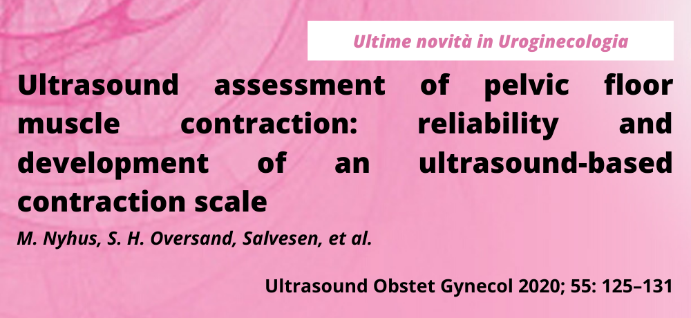 Ultrasound assessment of pelvic floor muscle contraction: reliability and development of an ultrasound-based contraction scale