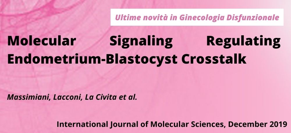 Molecular Signaling Regulating Endometrium-Blastocyst Crosstalk